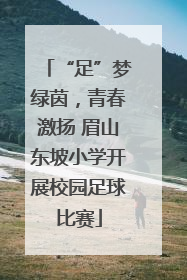 “足”梦绿茵，青春激扬 眉山东坡小学开展校园足球比赛