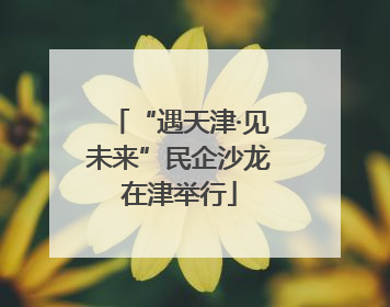 “遇天津·见未来”民企沙龙在津举行