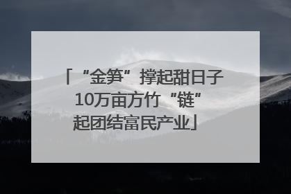 “金笋”撑起甜日子 10万亩方竹“链”起团结富民产业