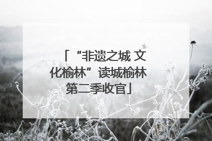 “非遗之城 文化榆林”读城榆林第二季收官