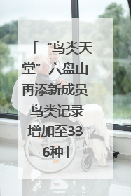 “鸟类天堂”六盘山再添新成员 鸟类记录增加至336种