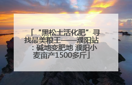 “黑松土活化肥”寻找最美粮王——濮阳站：碱地变肥地 濮阳小麦亩产1500多斤