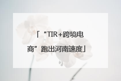 “TIR+跨境电商”跑出河南速度