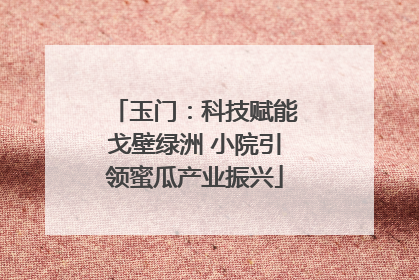 玉门：科技赋能戈壁绿洲 小院引领蜜瓜产业振兴