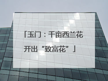 玉门：千亩西兰花开出“致富花”