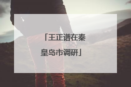 王正谱在秦皇岛市调研