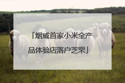 烟威首家小米全产品体验店落户芝罘