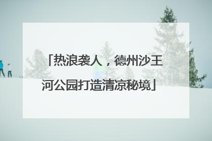 热浪袭人，德州沙王河公园打造清凉秘境