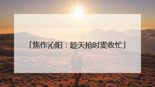 焦作沁阳：趁天抢时麦收忙