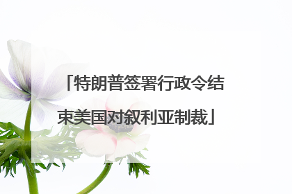 特朗普签署行政令结束美国对叙利亚制裁