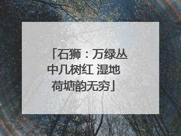 石狮：万绿丛中几树红 湿地荷塘韵无穷