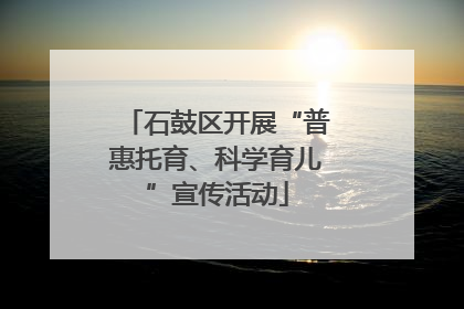 石鼓区开展“普惠托育、科学育儿”宣传活动