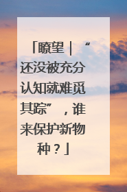瞭望｜“还没被充分认知就难觅其踪”，谁来保护新物种？