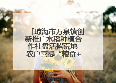 琼海市万泉镇创新推广水稻种植合作社盘活撂荒地 农户喜提“粮食+钞票”分红