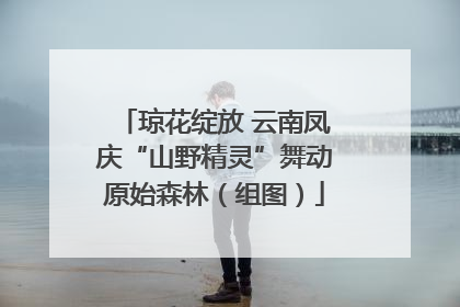 琼花绽放 云南凤庆“山野精灵”舞动原始森林（组图）
