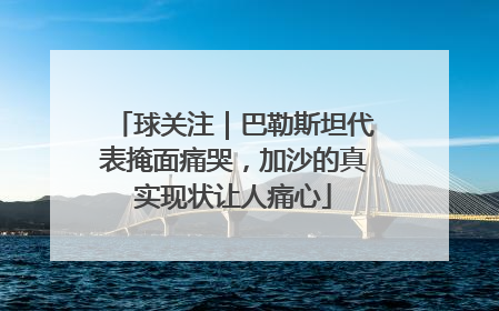 球关注｜巴勒斯坦代表掩面痛哭，加沙的真实现状让人痛心