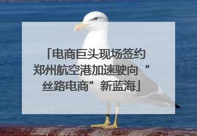 电商巨头现场签约 郑州航空港加速驶向“丝路电商”新蓝海