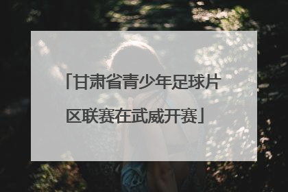 甘肃省青少年足球片区联赛在武威开赛