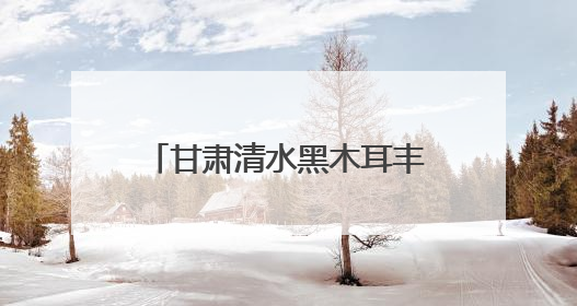 甘肃清水黑木耳丰收应时“绽放”