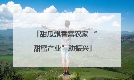 甜瓜飘香富农家 “甜蜜产业”助振兴