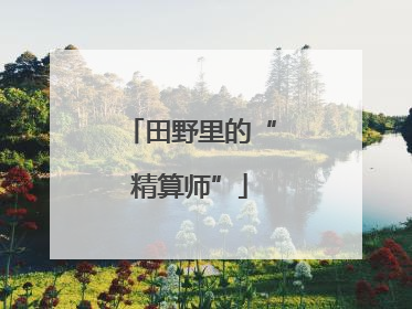 田野里的“精算师”
