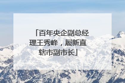 百年央企副总经理王秀峰，履新直辖市副市长