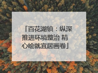 百花湖镇：纵深推进环境整治 精心绘就宜居画卷