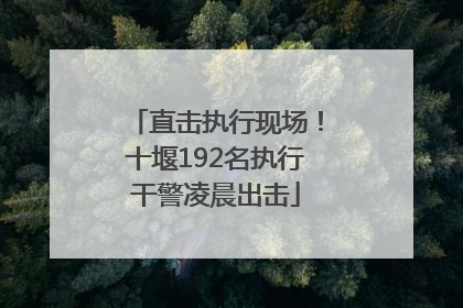 直击执行现场！十堰192名执行干警凌晨出击