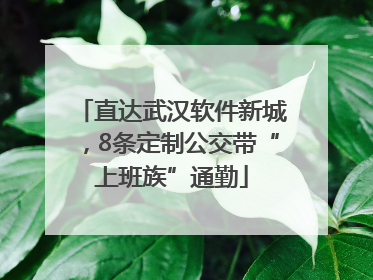直达武汉软件新城，8条定制公交带“上班族”通勤
