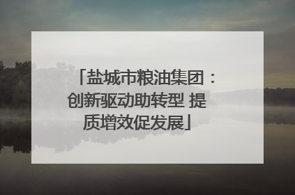 盐城市粮油集团：创新驱动助转型 提质增效促发展