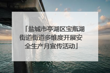 盐城市亭湖区宝瓶湖街道街道多维度开展安全生产月宣传活动