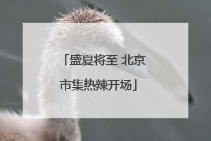 盛夏将至 北京市集热辣开场
