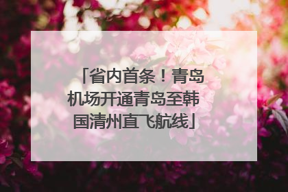 省内首条！青岛机场开通青岛至韩国清州直飞航线