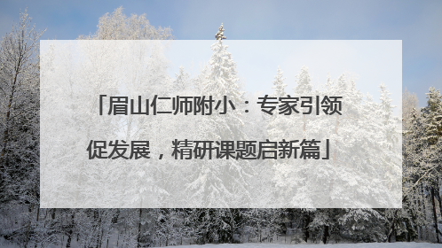 眉山仁师附小：专家引领促发展，精研课题启新篇