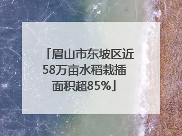 眉山市东坡区近58万亩水稻栽插面积超85%