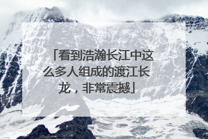 看到浩瀚长江中这么多人组成的渡江长龙，非常震撼