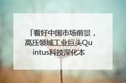 看好中国市场前景，高压领域工业巨头Quintus科技深化本土策略，构建全方位服务亚太区总部