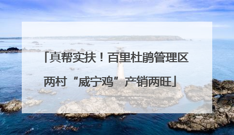 真帮实扶！百里杜鹃管理区两村“威宁鸡”产销两旺