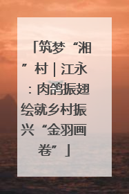 筑梦“湘”村｜江永：肉鸽振翅绘就乡村振兴“金羽画卷”