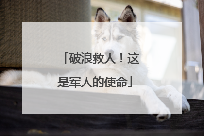 破浪救人！这是军人的使命