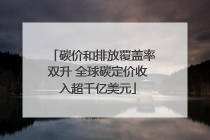 碳价和排放覆盖率双升 全球碳定价收入超千亿美元