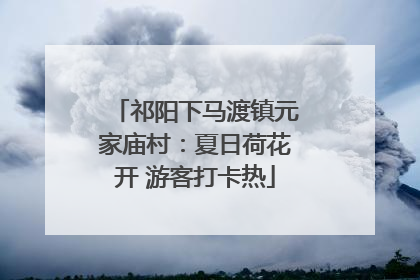 祁阳下马渡镇元家庙村：夏日荷花开 游客打卡热