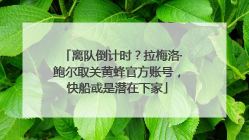 离队倒计时？拉梅洛·鲍尔取关黄蜂官方账号，快船或是潜在下家