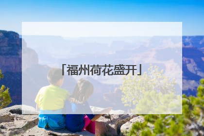 福州荷花盛开