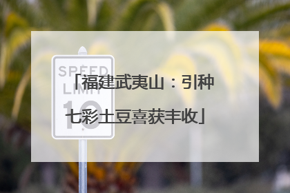 福建武夷山：引种七彩土豆喜获丰收