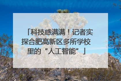 科技感满满！记者实探合肥高新区多所学校里的“人工智能”