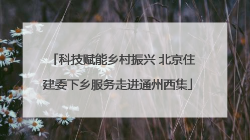 科技赋能乡村振兴 北京住建委下乡服务走进通州西集