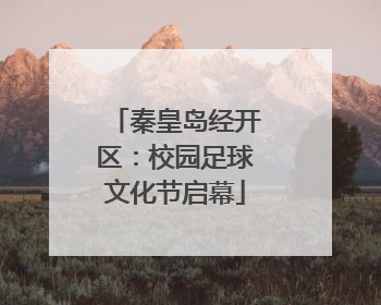 秦皇岛经开区：校园足球文化节启幕