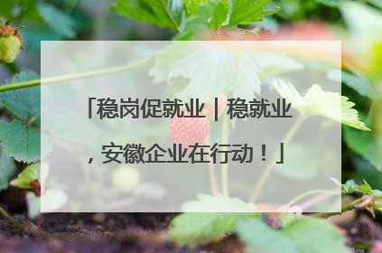 稳岗促就业｜稳就业，安徽企业在行动！