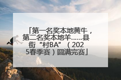 第一名奖本地黄牛，第二名奖本地羊……县街“村BA”（2025春季赛）圆满完赛
